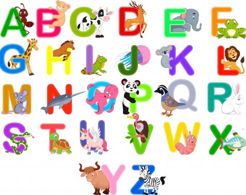 Animal Alphabet A - Z